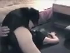 In this hilarious zoophilia porn video, a helpful lover slams dogs' thighs into his hunched fianc&eacute;e.